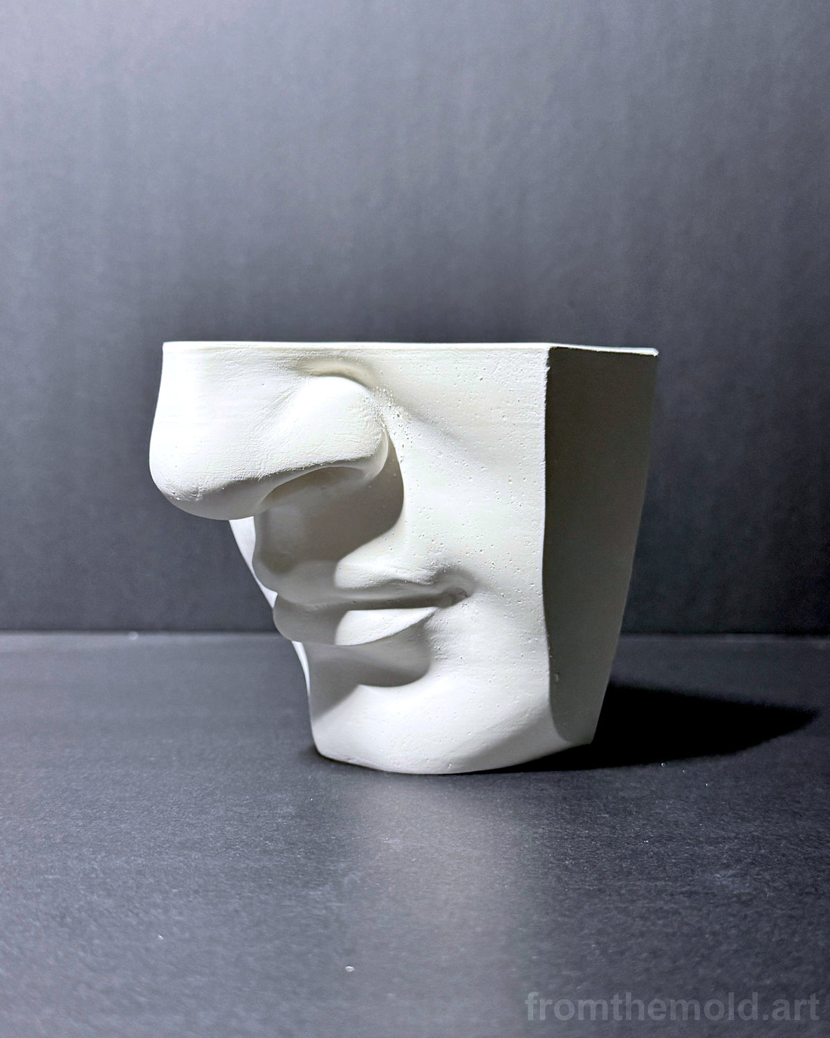 Mouth of David Plaster Study Cast – Portrait Drawing, Anatomy & Form Reference