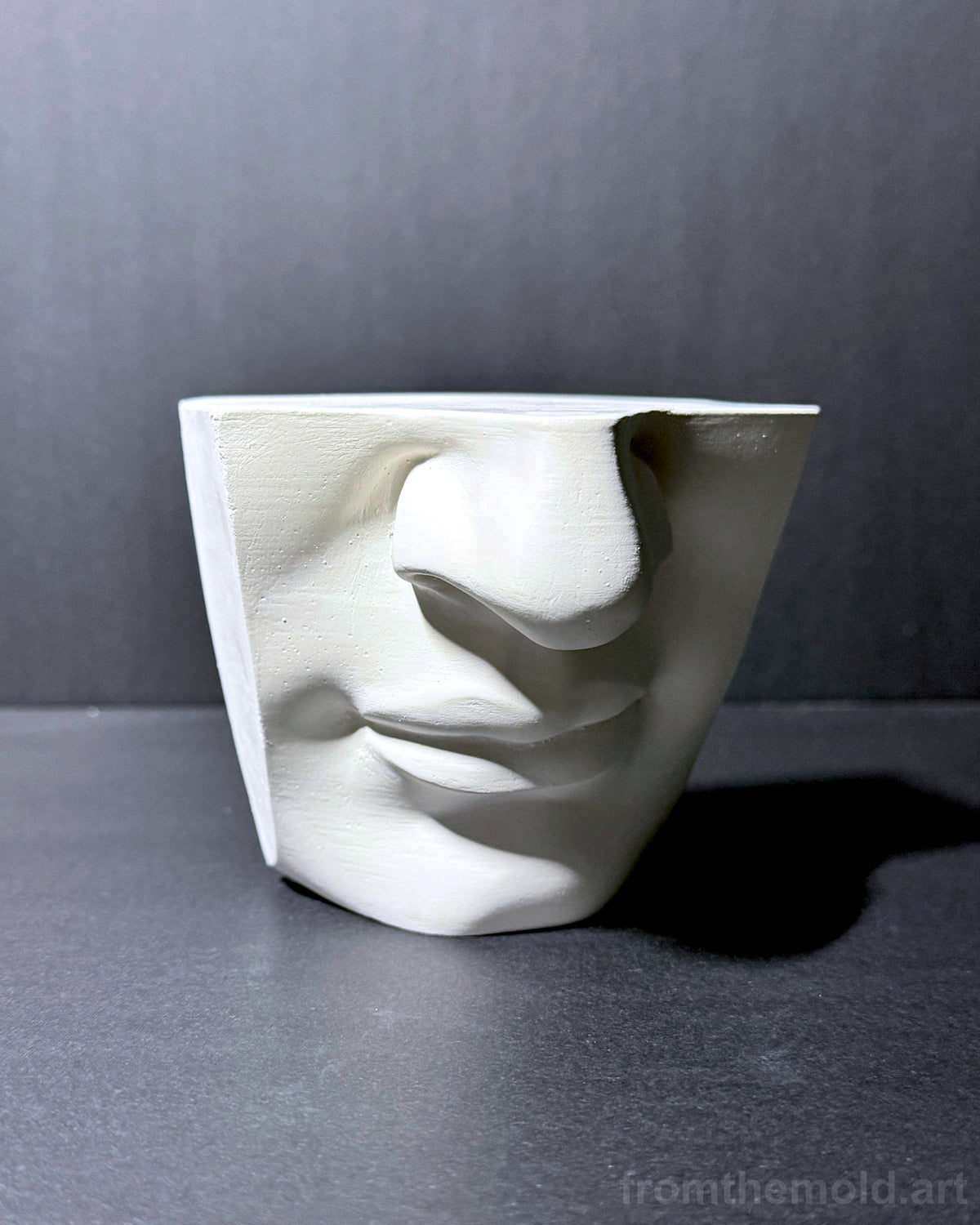 Mouth of David Plaster Study Cast – Portrait Drawing, Anatomy & Form Reference
