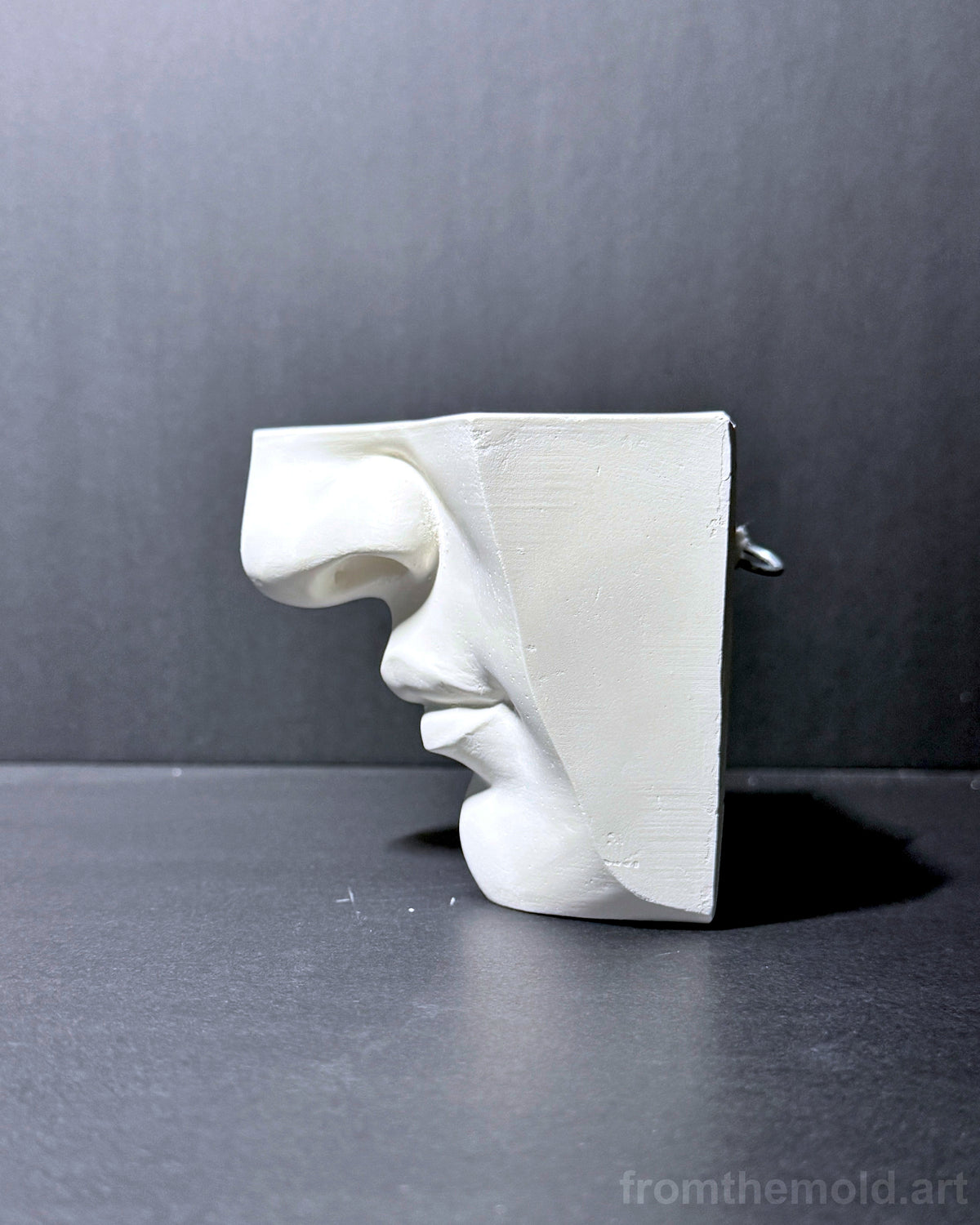 Mouth of David Plaster Study Cast – Portrait Drawing, Anatomy & Form Reference
