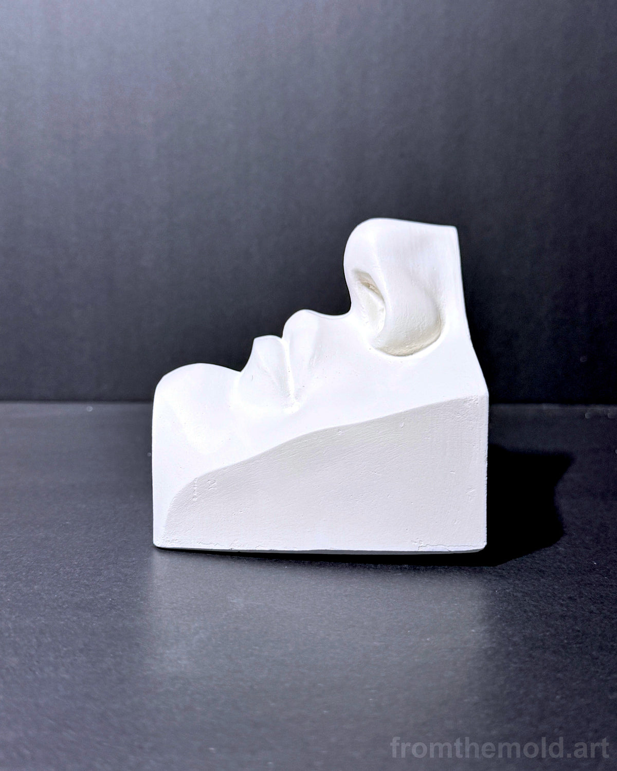 Mouth of David Plaster Study Cast – Portrait Drawing, Anatomy & Form Reference