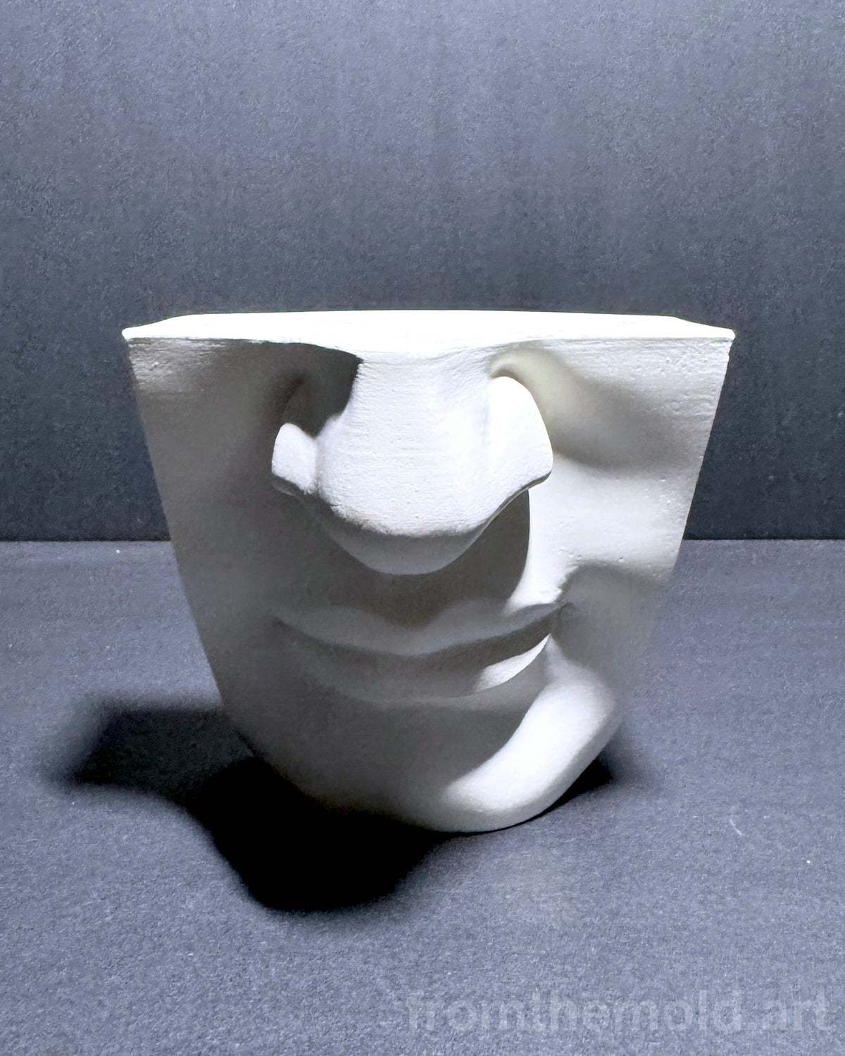 Mouth of David Plaster Study Cast – Portrait Drawing, Anatomy & Form Reference