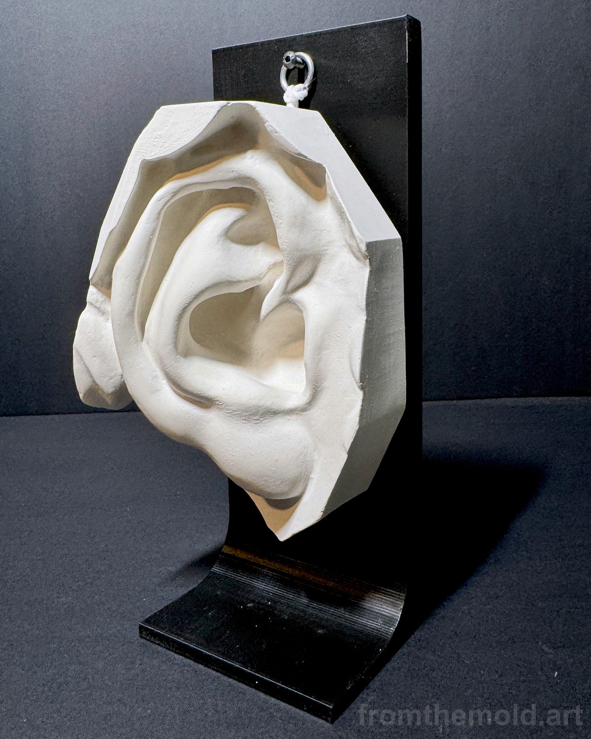 Ear of David Plaster Study Cast – Portrait Drawing, Anatomy & Form Reference