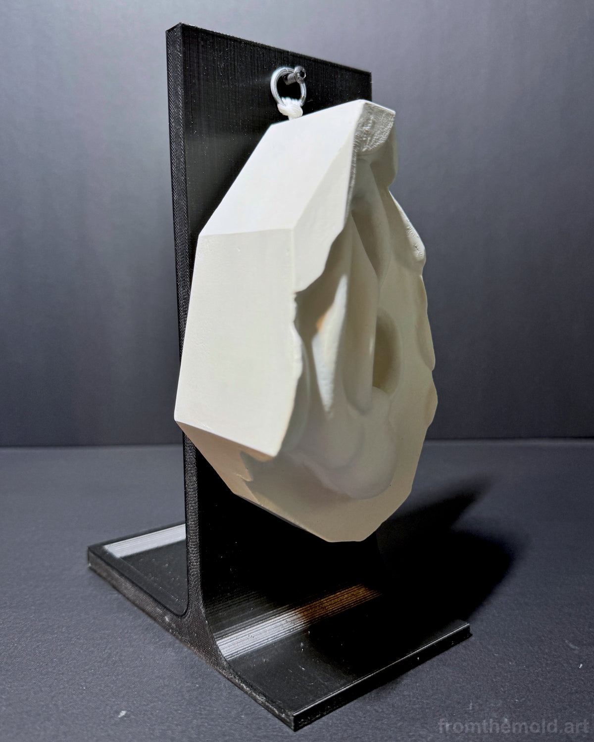 Ear of David Plaster Study Cast – Portrait Drawing, Anatomy & Form Reference
