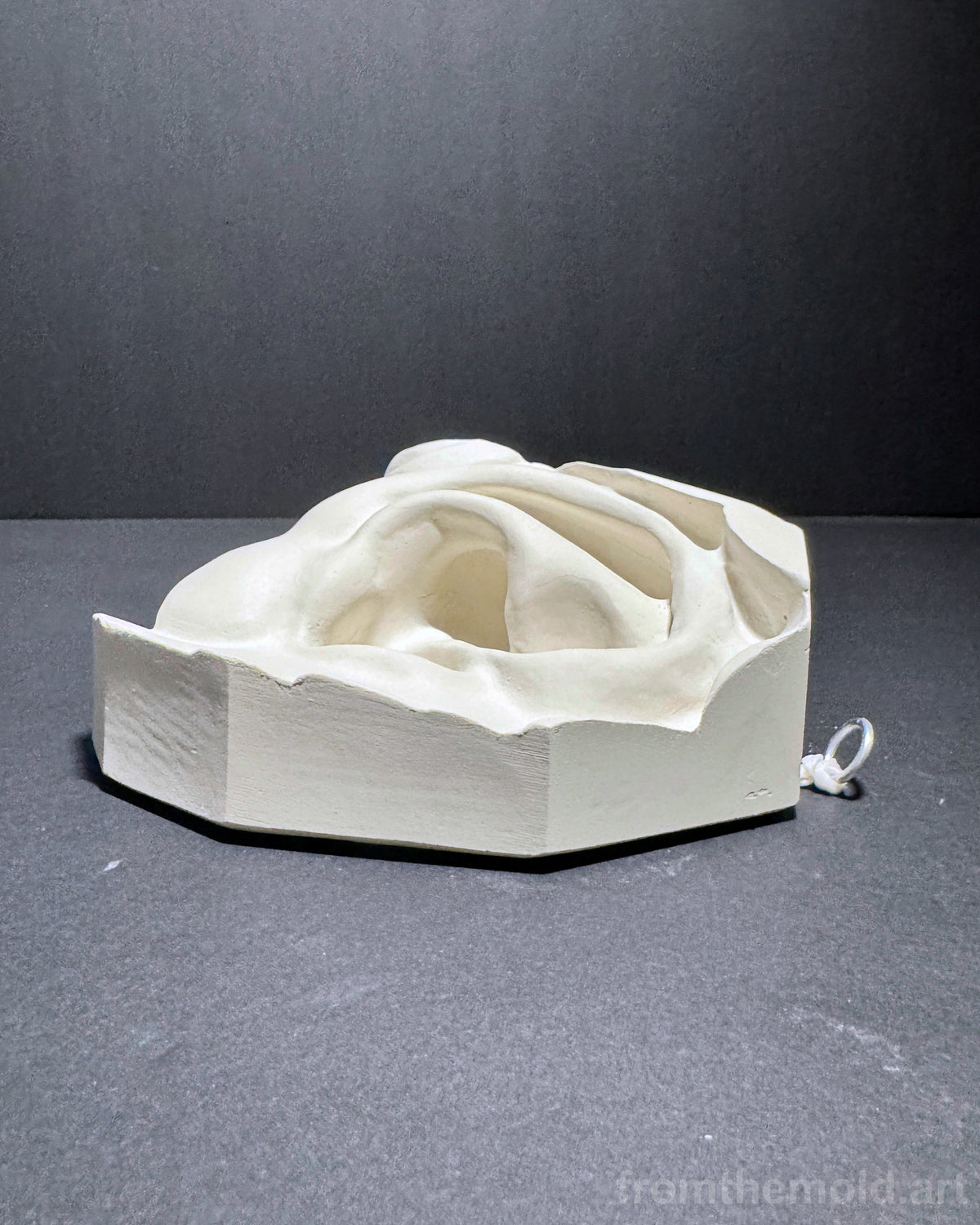 Ear of David Plaster Study Cast – Portrait Drawing, Anatomy & Form Reference