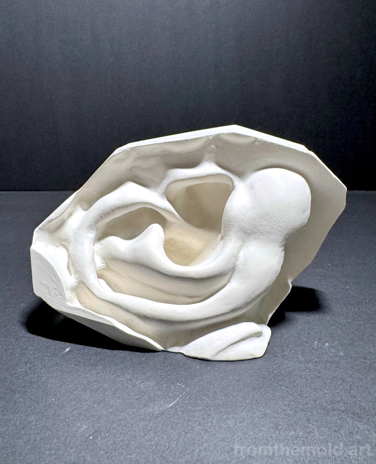 Ear of David Plaster Study Cast – Portrait Drawing, Anatomy & Form Reference