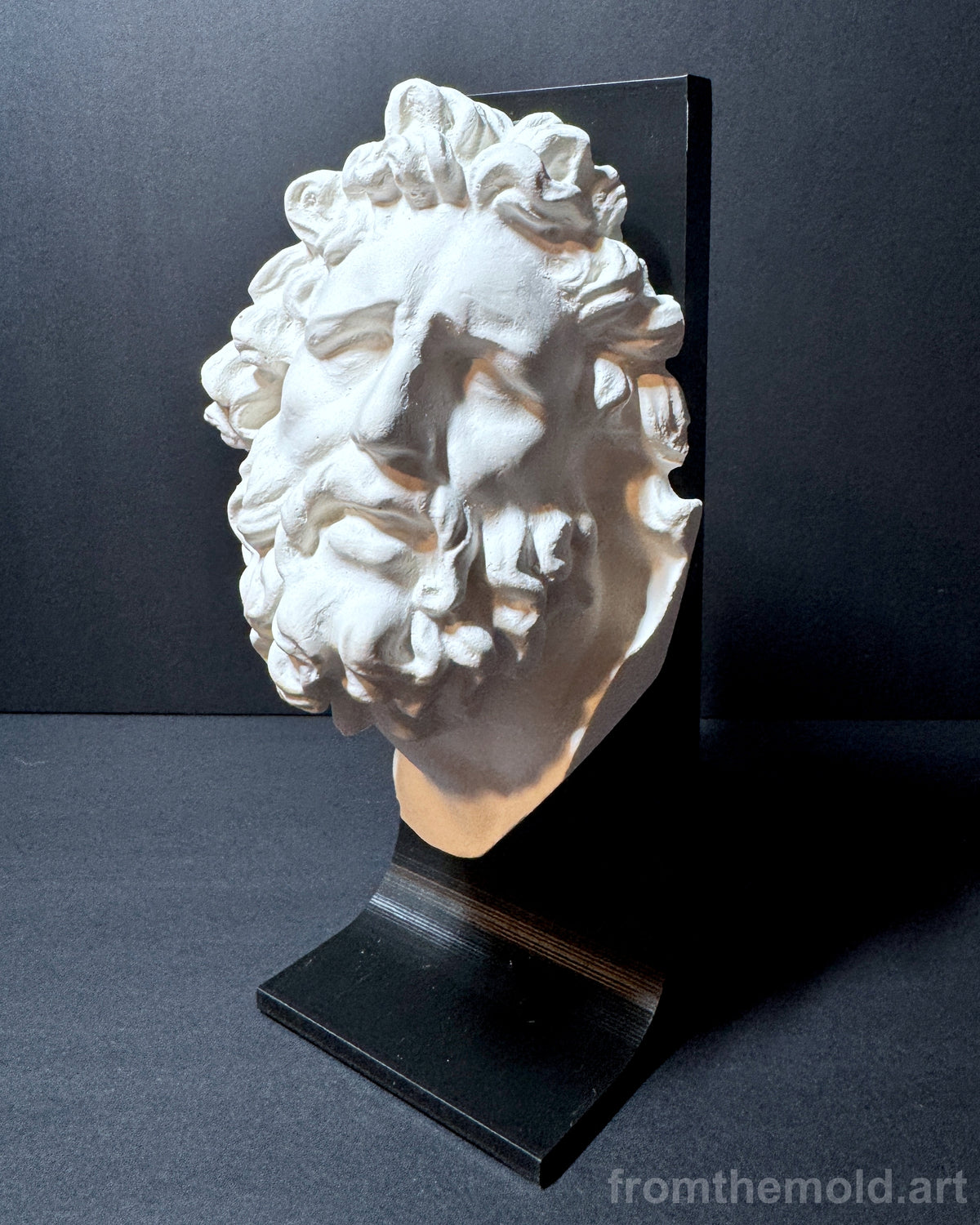 Laocoön Mask Plaster Study Cast – Portrait, Expression & Form Reference