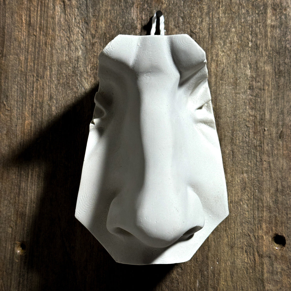 Nose of David, Art Practice Decor, Hand Sculpted Realism, Artist Gift
