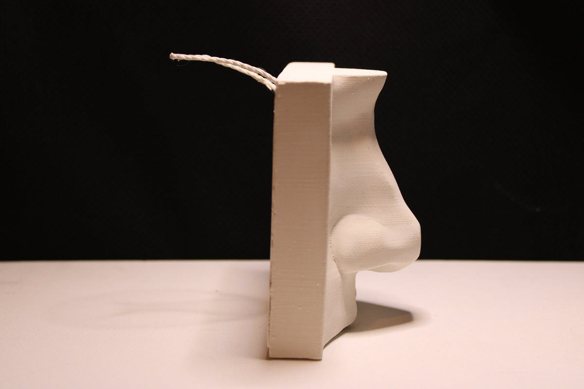 Basic Nose Plaster Study Cast – Drawing Practice, Anatomy & Form Reference