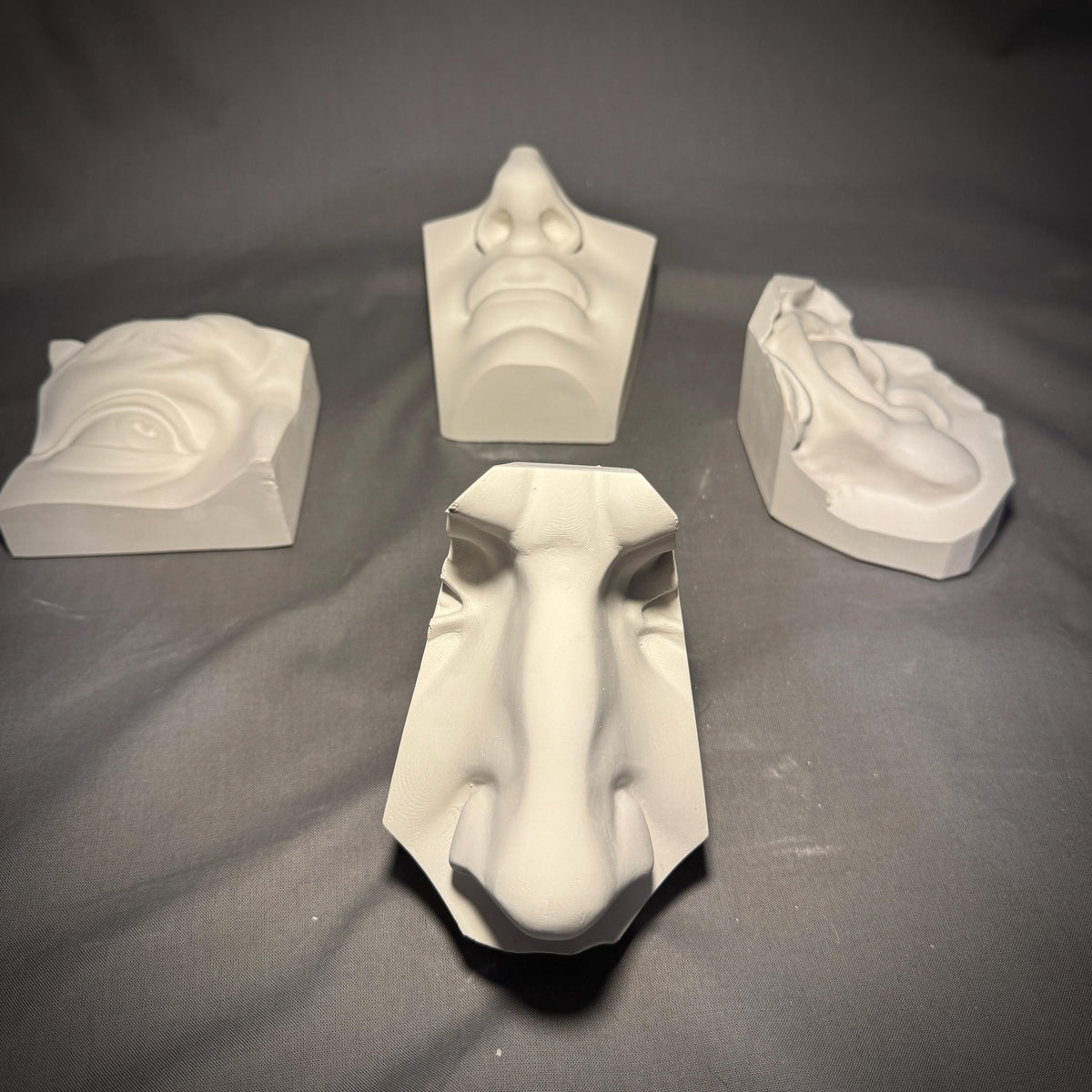 David 4-Piece Plaster Study Cast Set – Portrait Drawing & Anatomy Reference