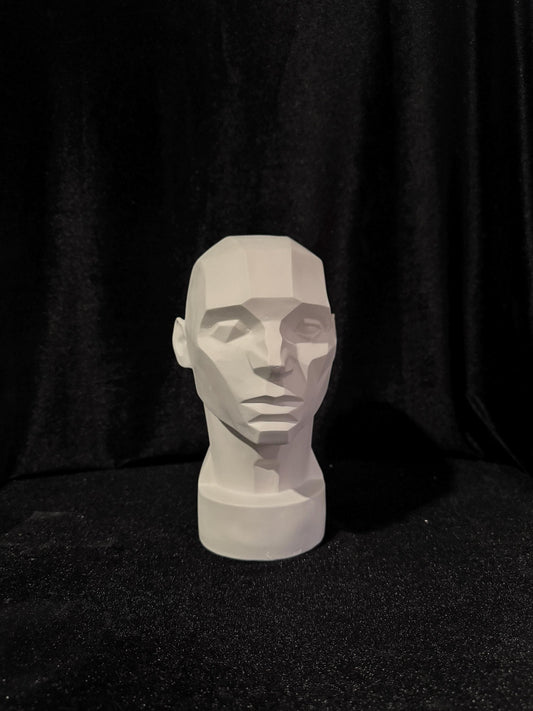 Planes of the Face, Plaster Cast Art Reference, Handmade Sculpture for Artists