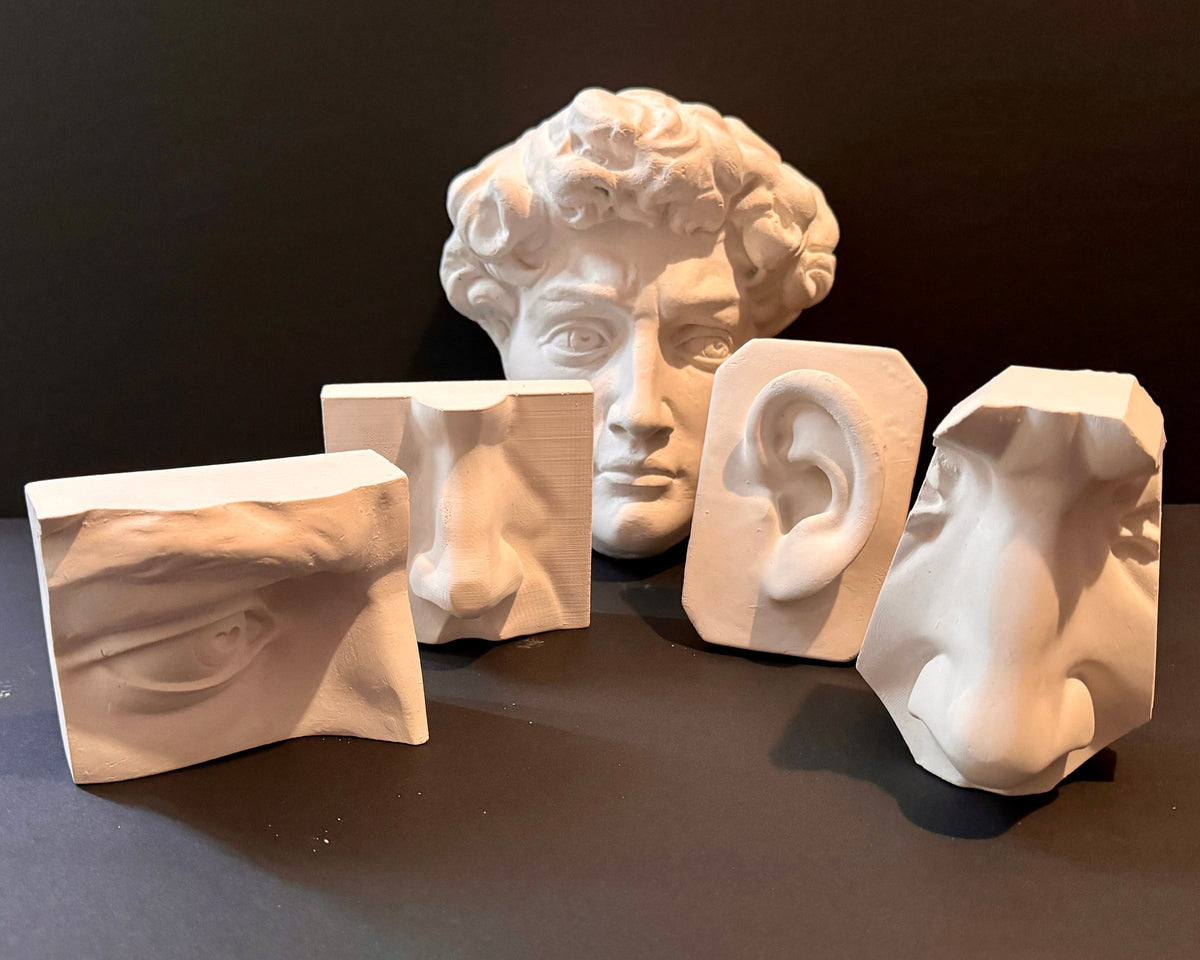 Basic Nose Plaster Study Cast – Drawing Practice, Anatomy & Form Reference