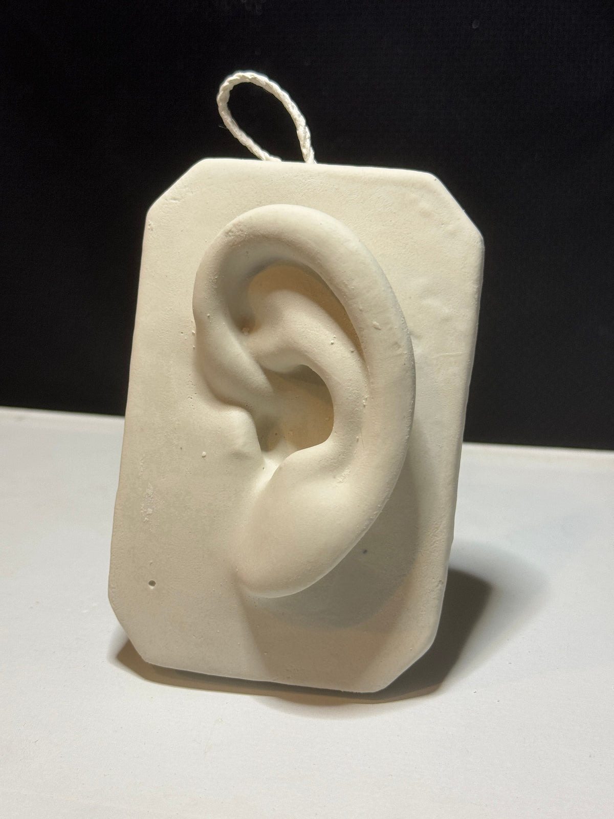 Plaster Nose and Ear Study, Basic Anatomy Reference, Handmade Portrait Sculpture, Drawing Tool