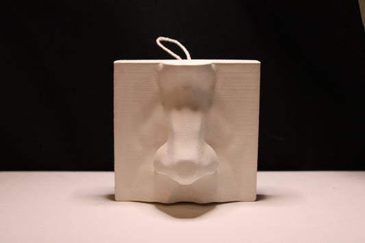 Basic Nose Plaster Study Cast – Drawing Practice, Anatomy & Form Reference