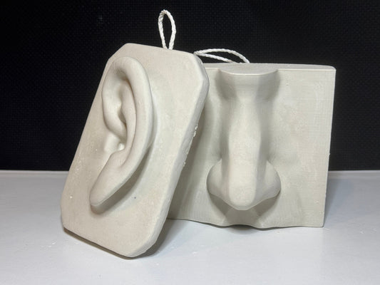 Plaster Nose and Ear Study, Basic Anatomy Reference, Handmade Portrait Sculpture, Drawing Tool