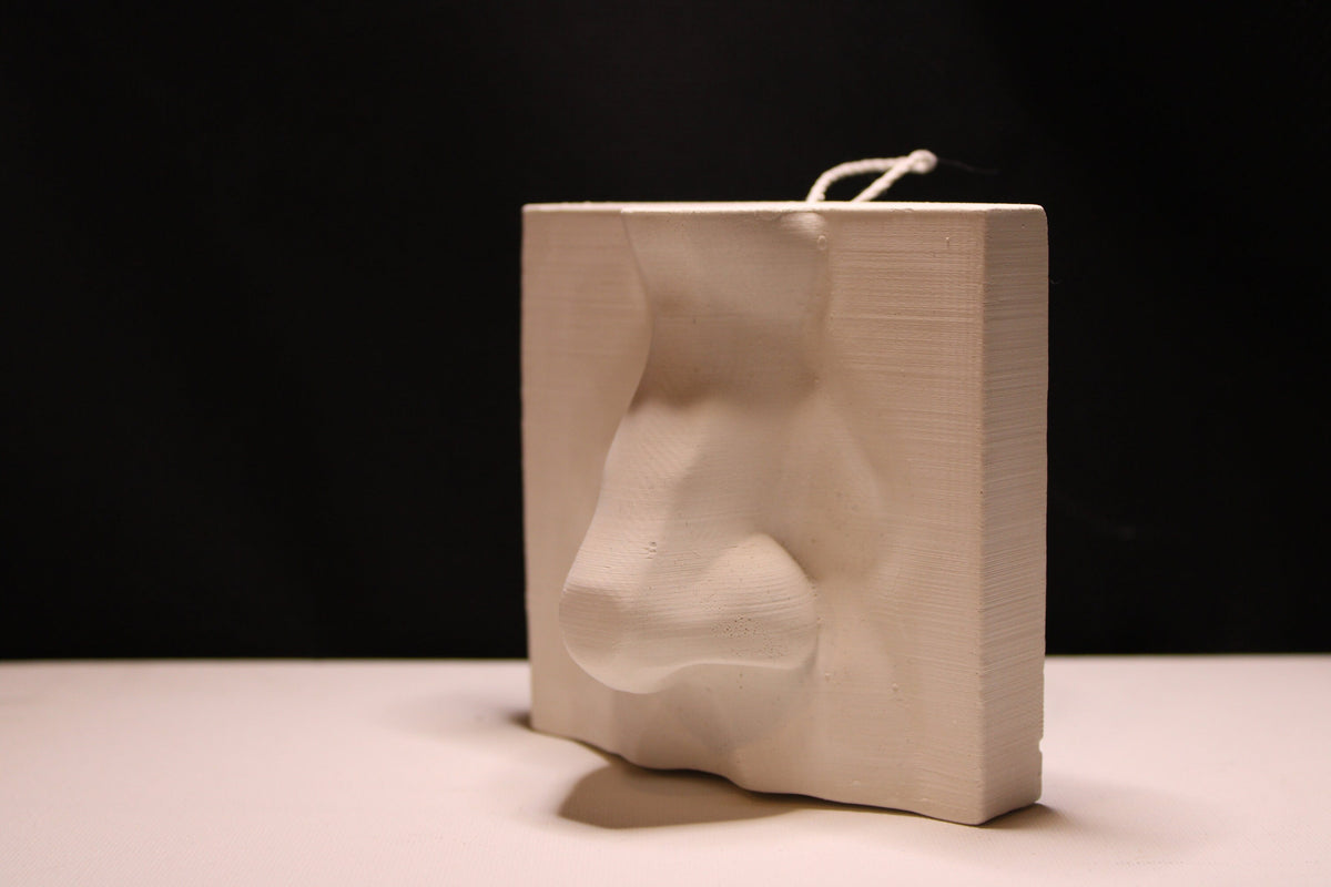 Plaster Nose and Ear Study, Basic Anatomy Reference, Handmade Portrait Sculpture, Drawing Tool