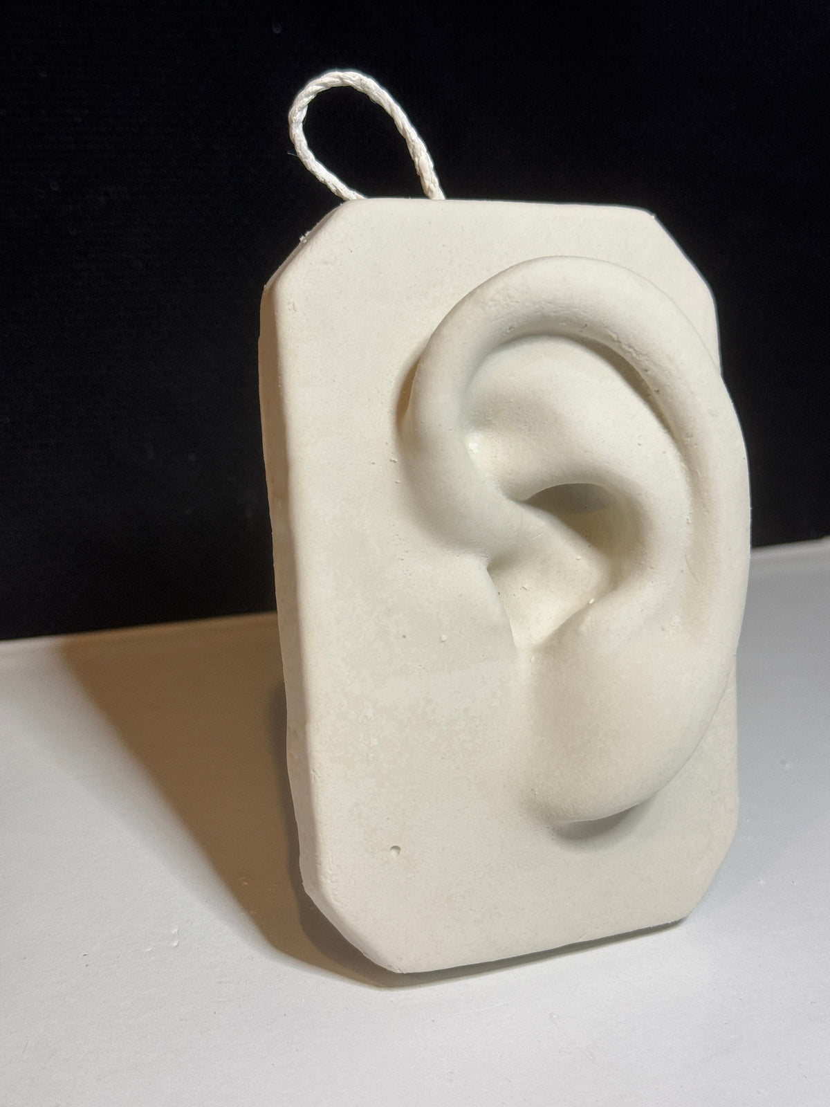 Plaster Nose and Ear Study, Basic Anatomy Reference, Handmade Portrait Sculpture, Drawing Tool