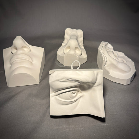 David Study Cast Plaster 4 Piece Set