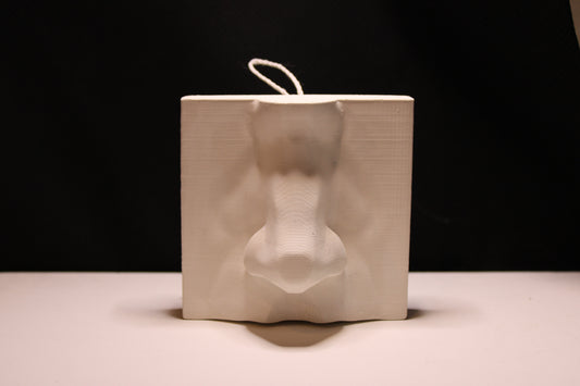 Basic Nose Plaster Cast Art Reference, Handmade Sculpture for Artists