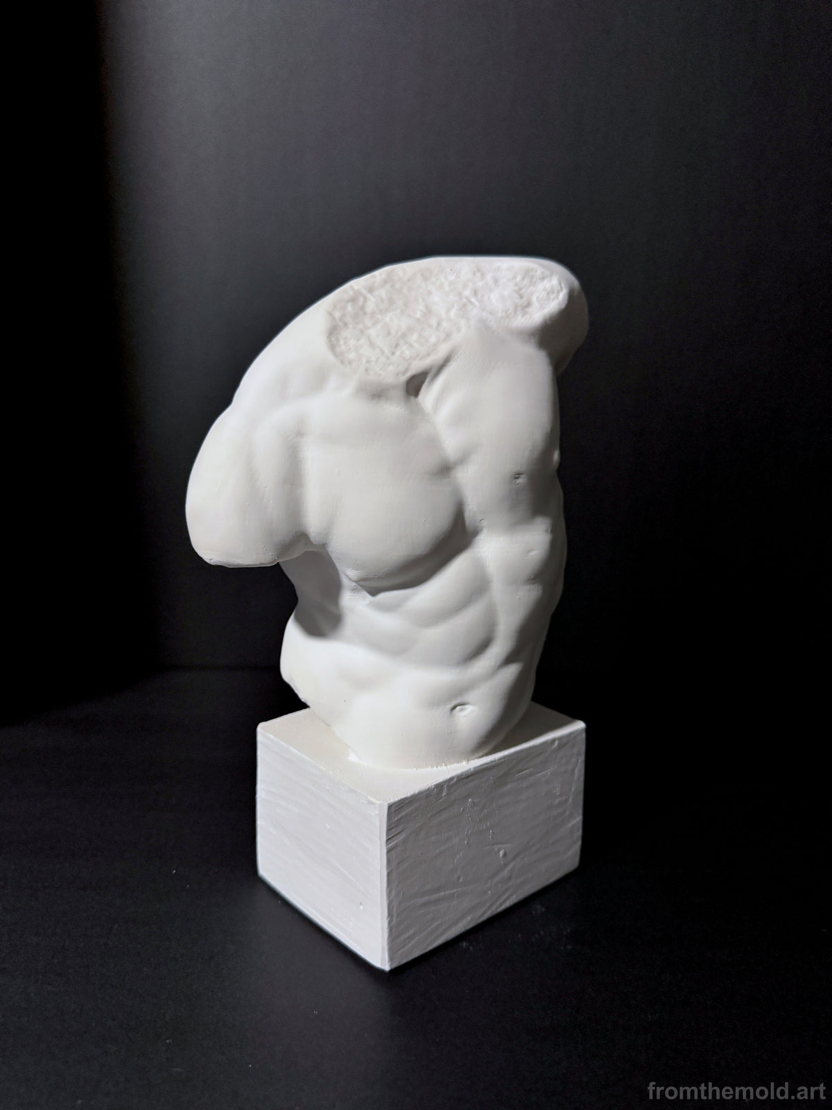 Gaddi Torso Plaster Cast Art Reference, Handmade Sculpture for Artists