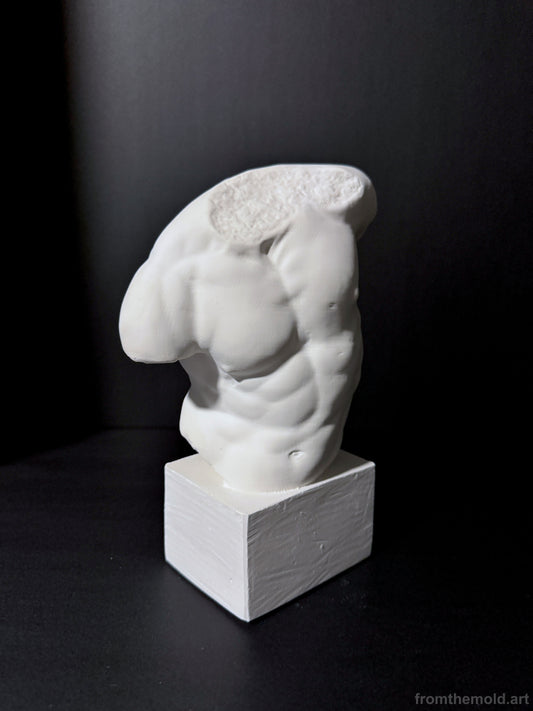 Gaddi Torso Plaster Cast Art Reference, Handmade Sculpture for Artists