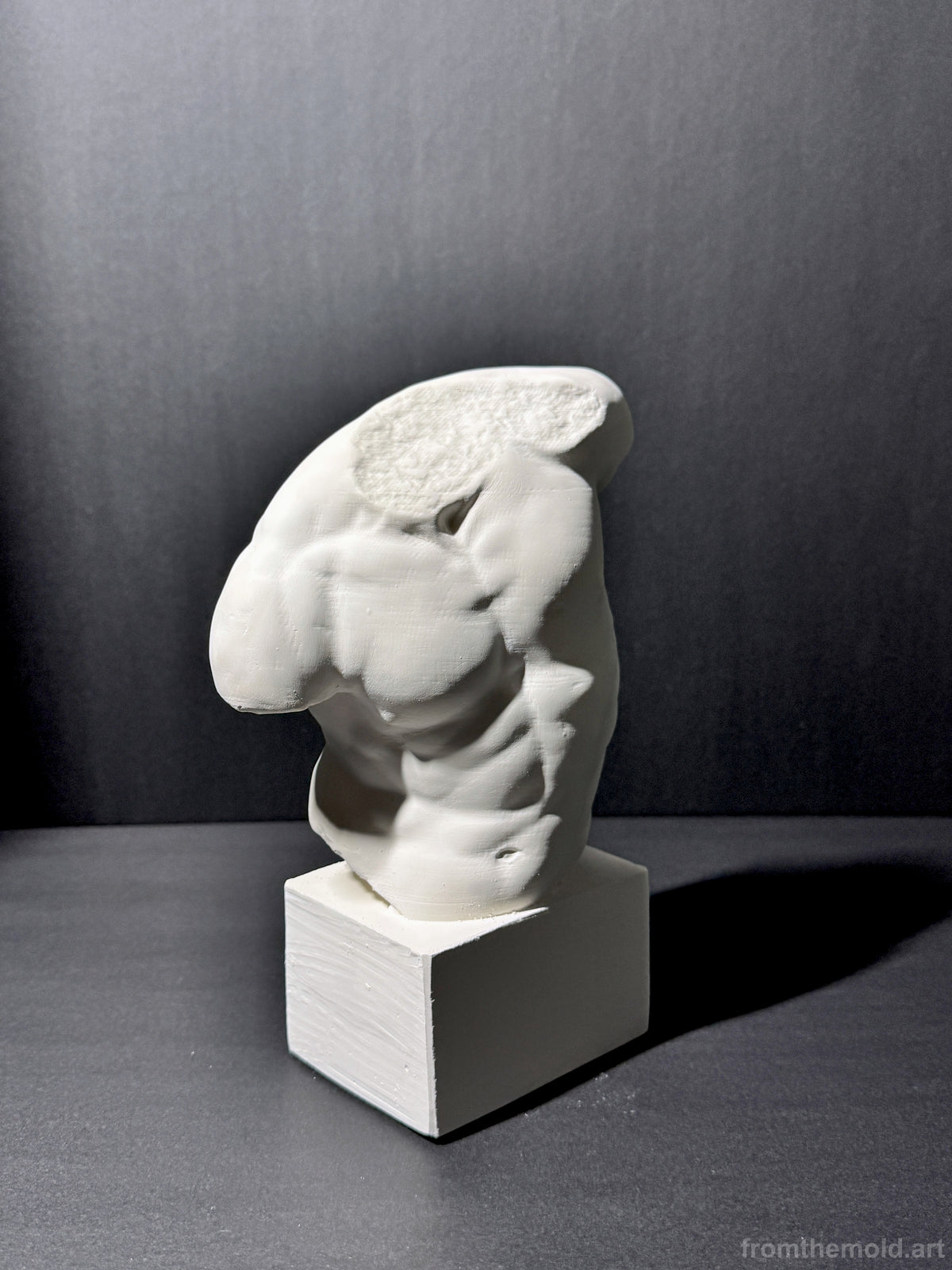 Gaddi Torso Plaster Cast Art Reference, Handmade Sculpture for Artists