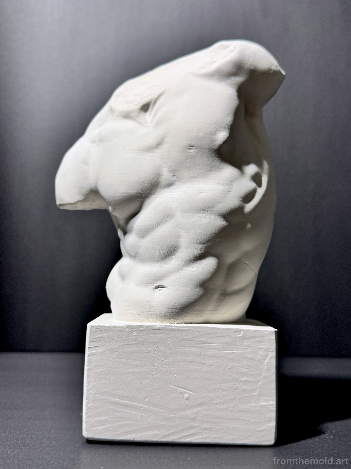 Gaddi Torso Plaster Cast Art Reference, Handmade Sculpture for Artists