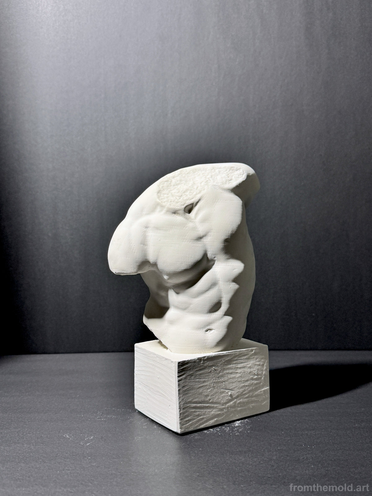 Gaddi Torso Plaster Cast Art Reference, Handmade Sculpture for Artists