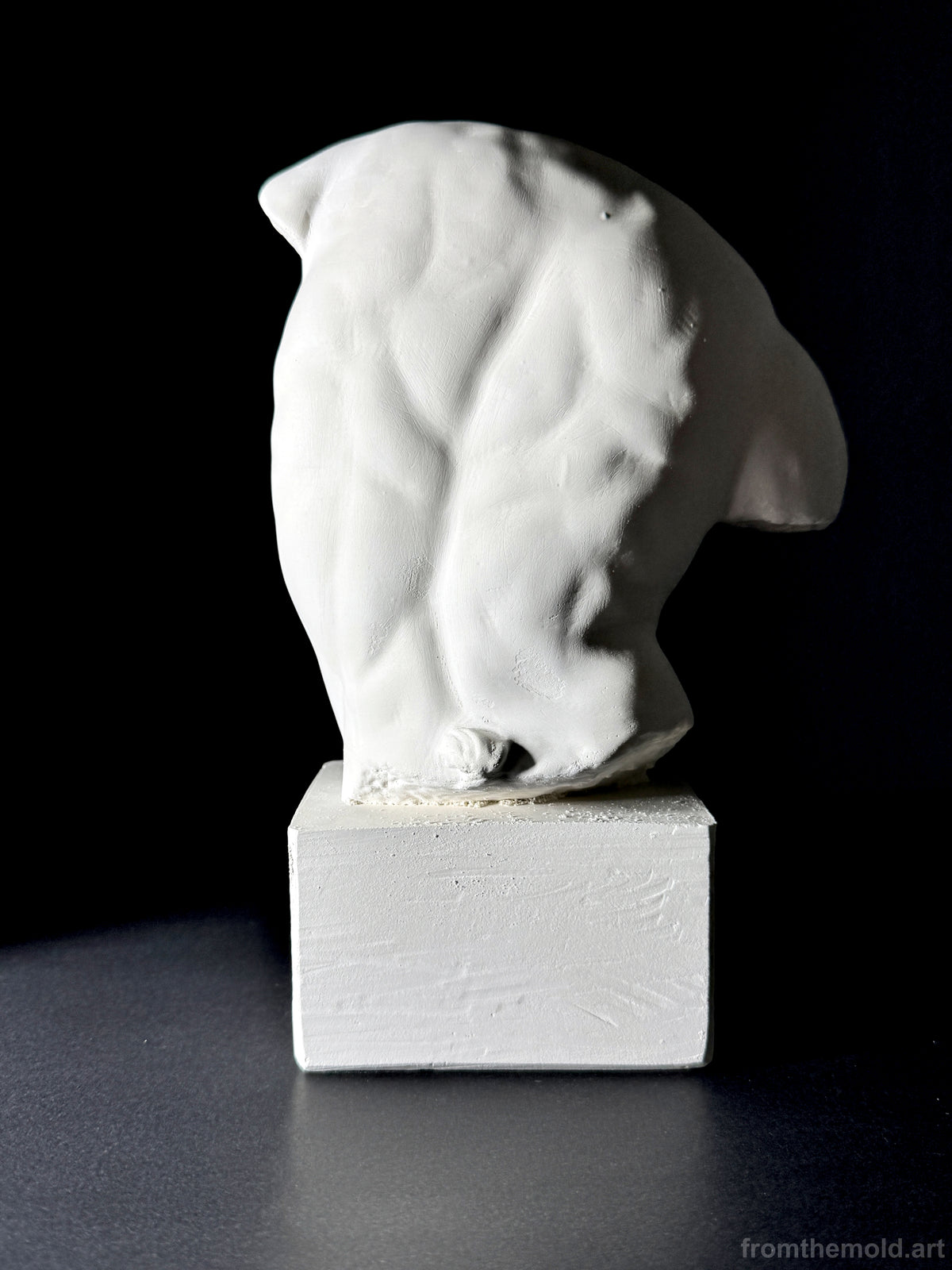 Gaddi Torso Plaster Cast Art Reference, Handmade Sculpture for Artists