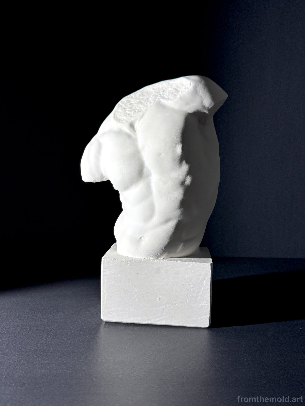 Gaddi Torso Plaster Cast Art Reference, Handmade Sculpture for Artists