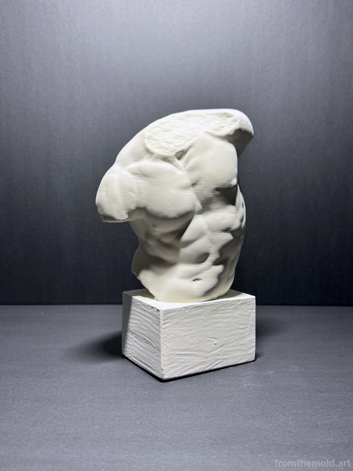 Gaddi Torso Plaster Cast Art Reference, Handmade Sculpture for Artists