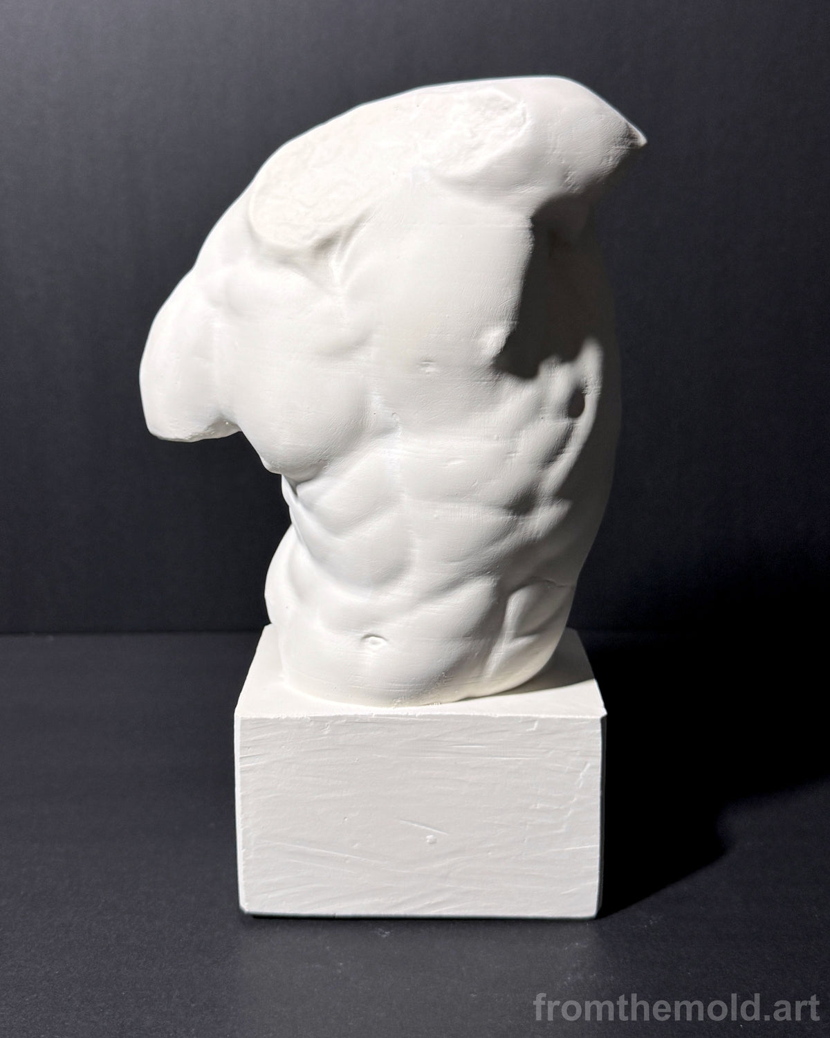 Gaddi Torso Plaster Cast Art Reference, Handmade Sculpture for Artists