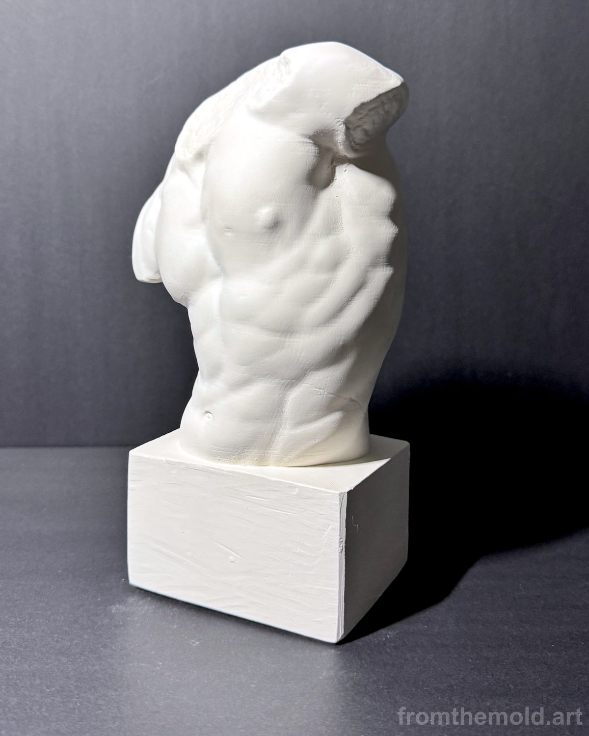 Gaddi Torso Plaster Cast Art Reference, Handmade Sculpture for Artists