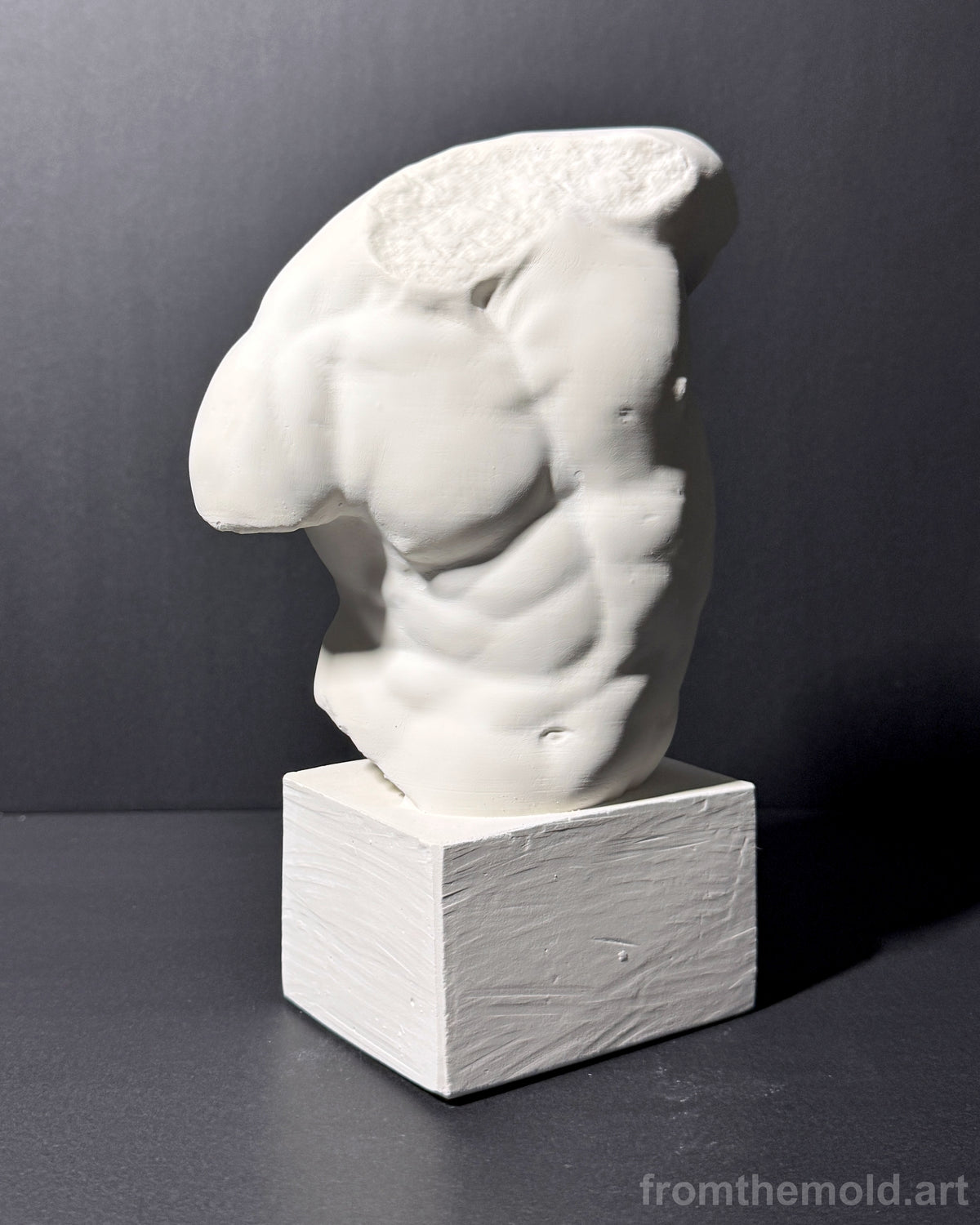 Gaddi Torso Plaster Cast Art Reference, Handmade Sculpture for Artists