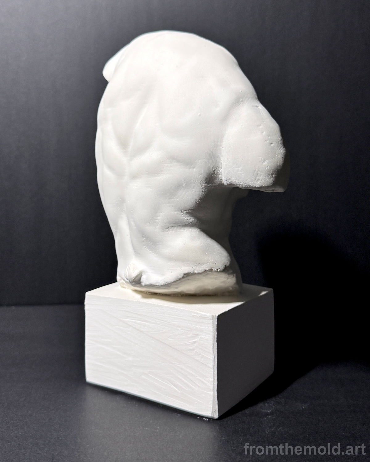 Gaddi Torso Plaster Cast Art Reference, Handmade Sculpture for Artists