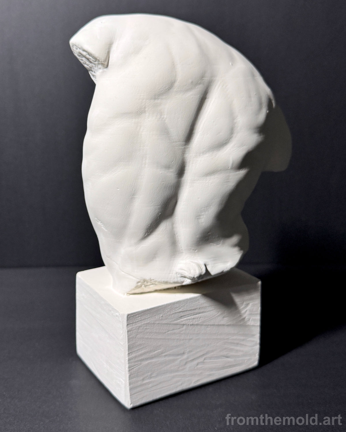 Gaddi Torso Plaster Cast Art Reference, Handmade Sculpture for Artists