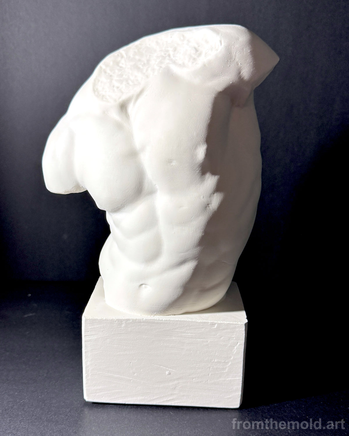 Gaddi Torso Plaster Cast Art Reference, Handmade Sculpture for Artists