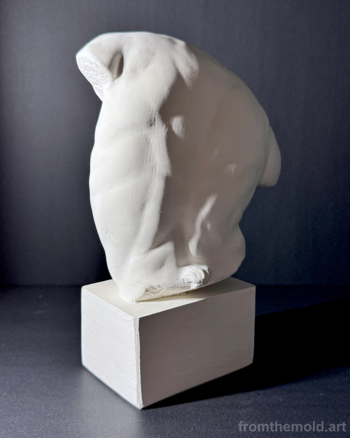 Gaddi Torso Plaster Cast Art Reference, Handmade Sculpture for Artists