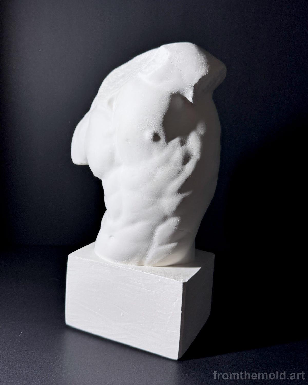 Gaddi Torso Plaster Cast Art Reference, Handmade Sculpture for Artists
