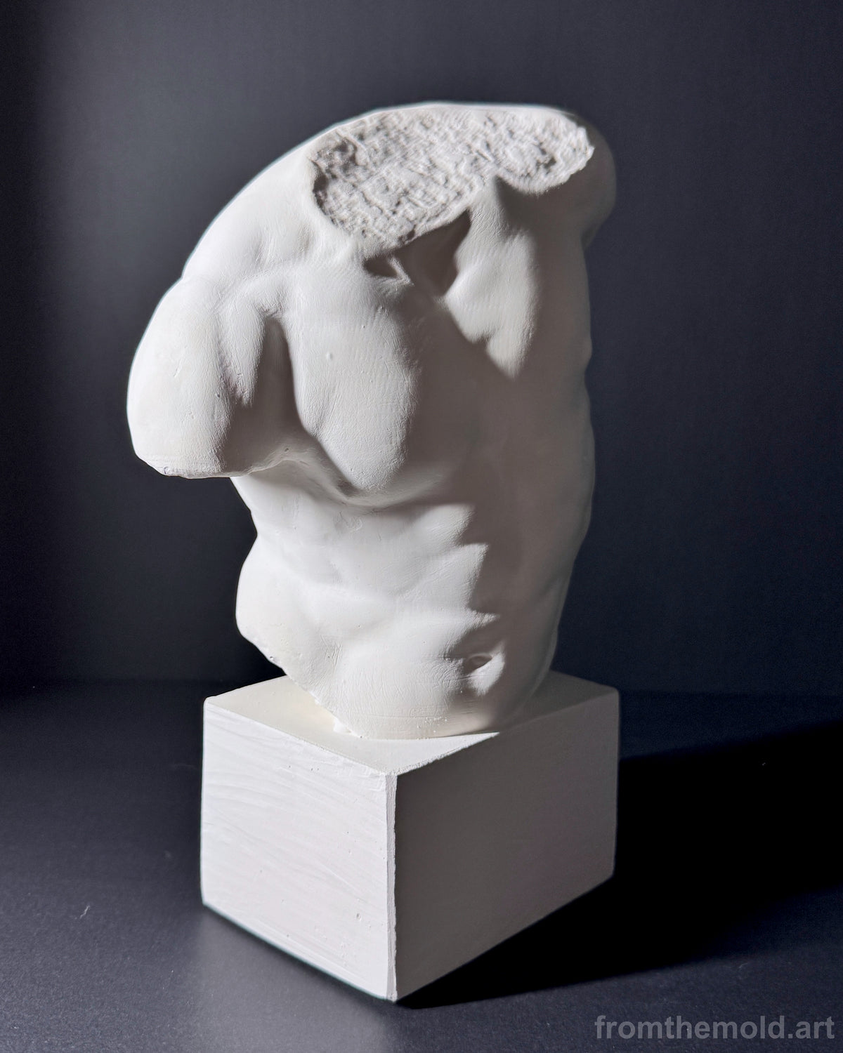 Gaddi Torso Plaster Cast Art Reference, Handmade Sculpture for Artists
