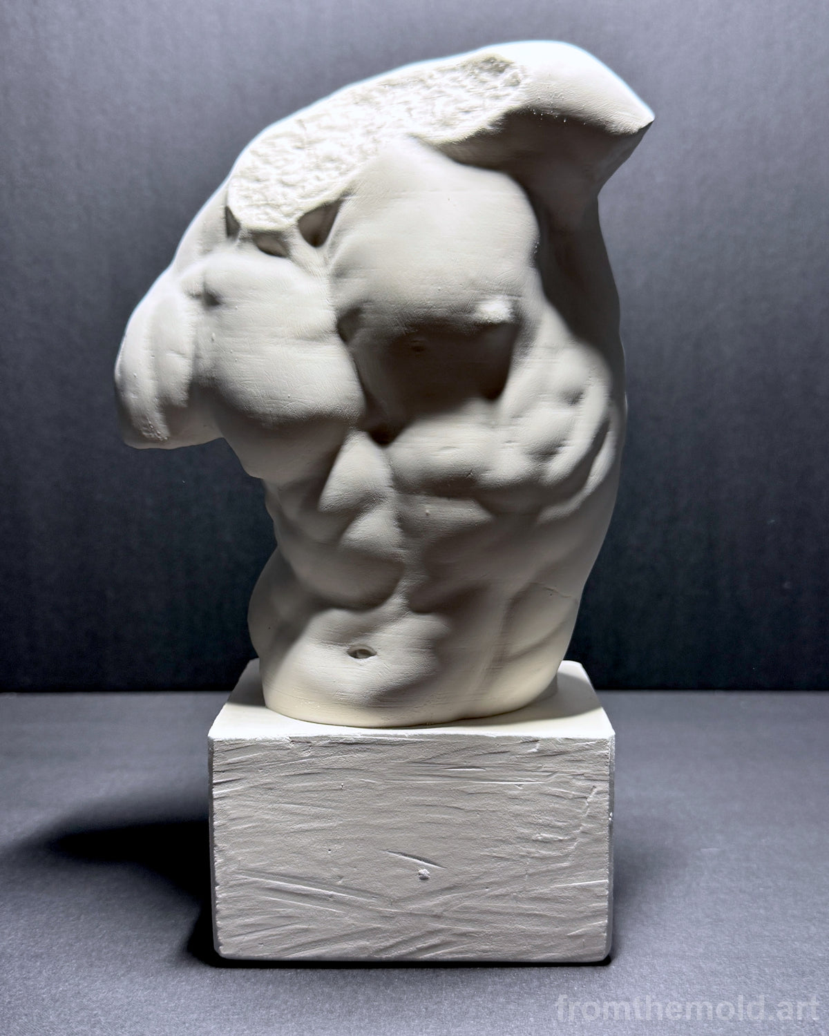 Gaddi Torso Plaster Cast Art Reference, Handmade Sculpture for Artists