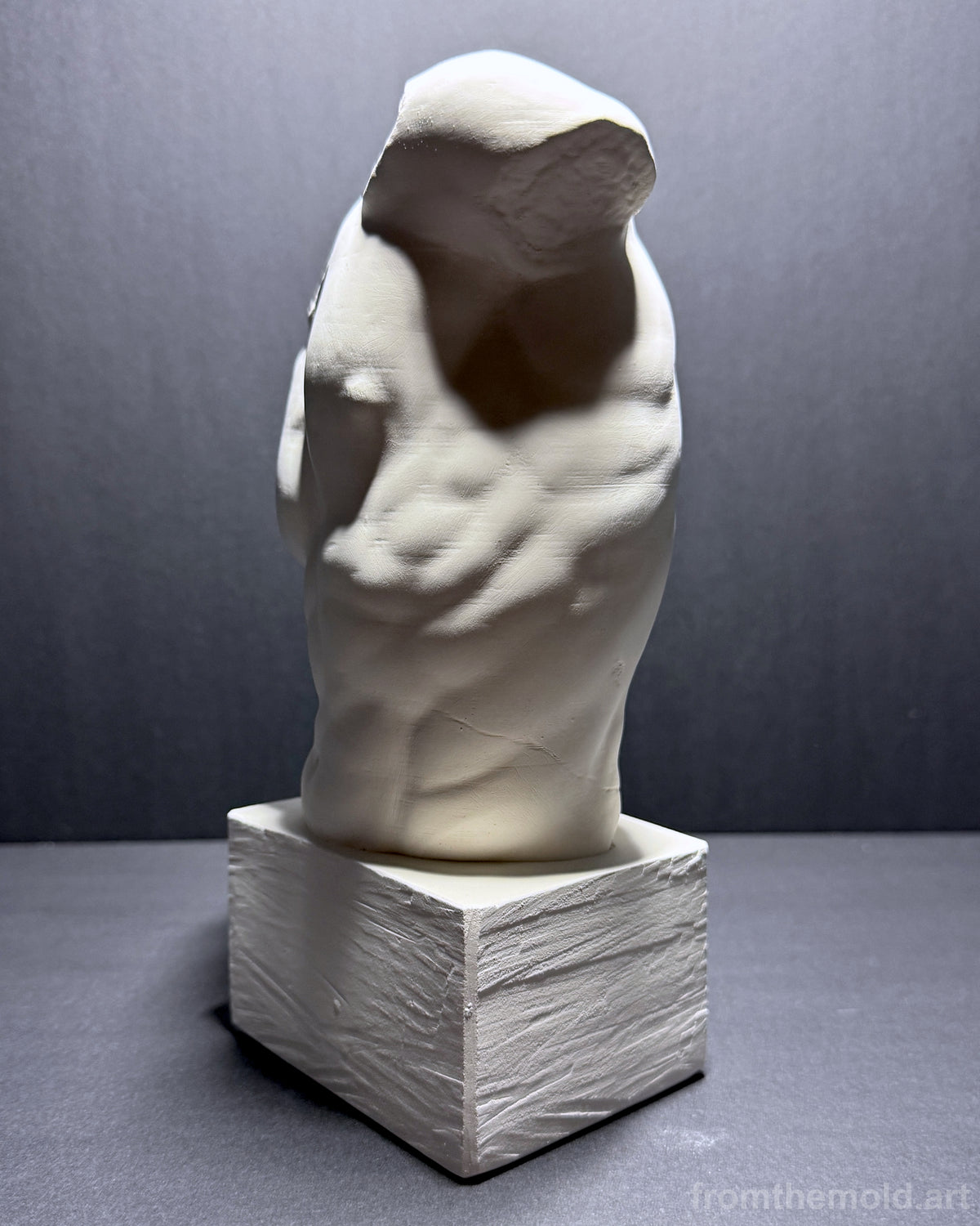 Gaddi Torso Plaster Cast Art Reference, Handmade Sculpture for Artists