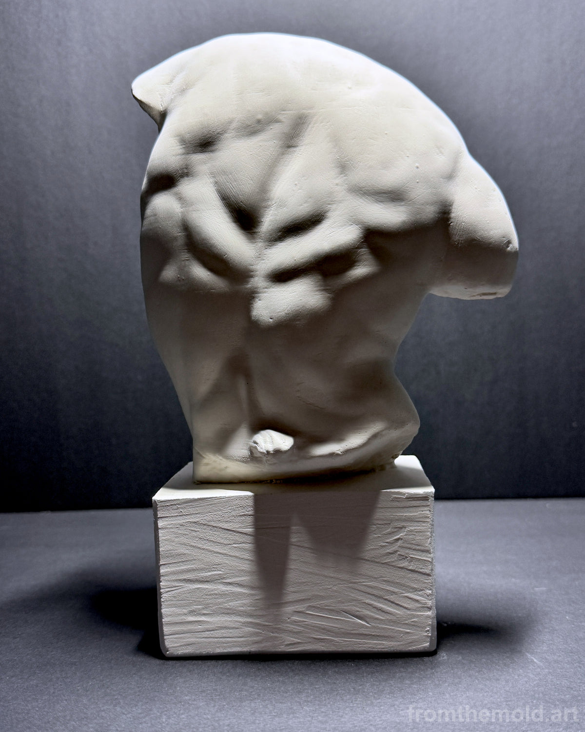Gaddi Torso Plaster Cast Art Reference, Handmade Sculpture for Artists