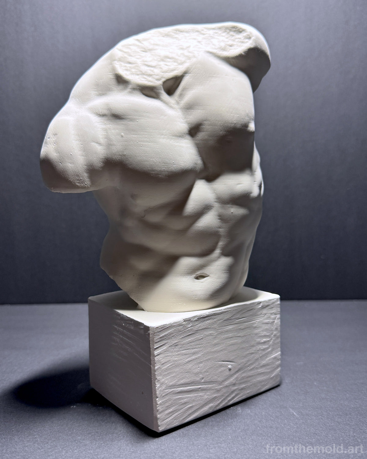 Gaddi Torso Plaster Cast Art Reference, Handmade Sculpture for Artists