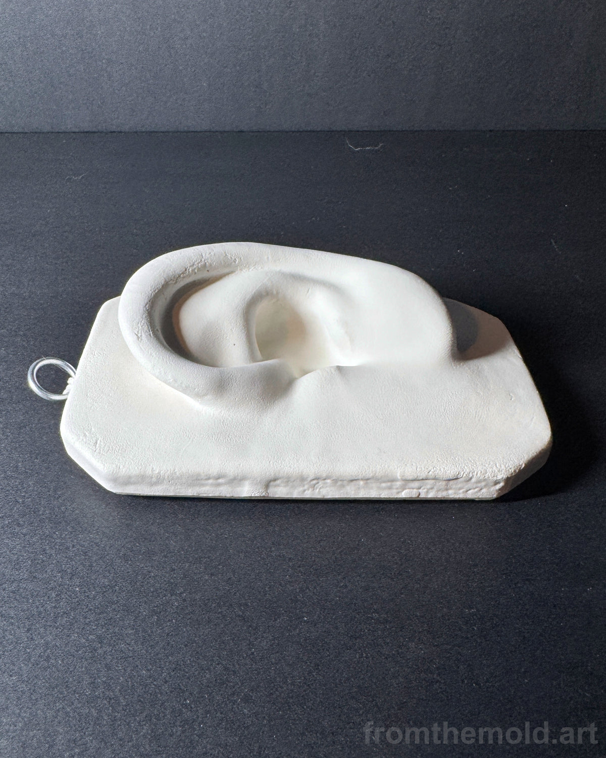Basic Ear Plaster Study Cast – Drawing Practice, Anatomy Study & Art Reference for Artists