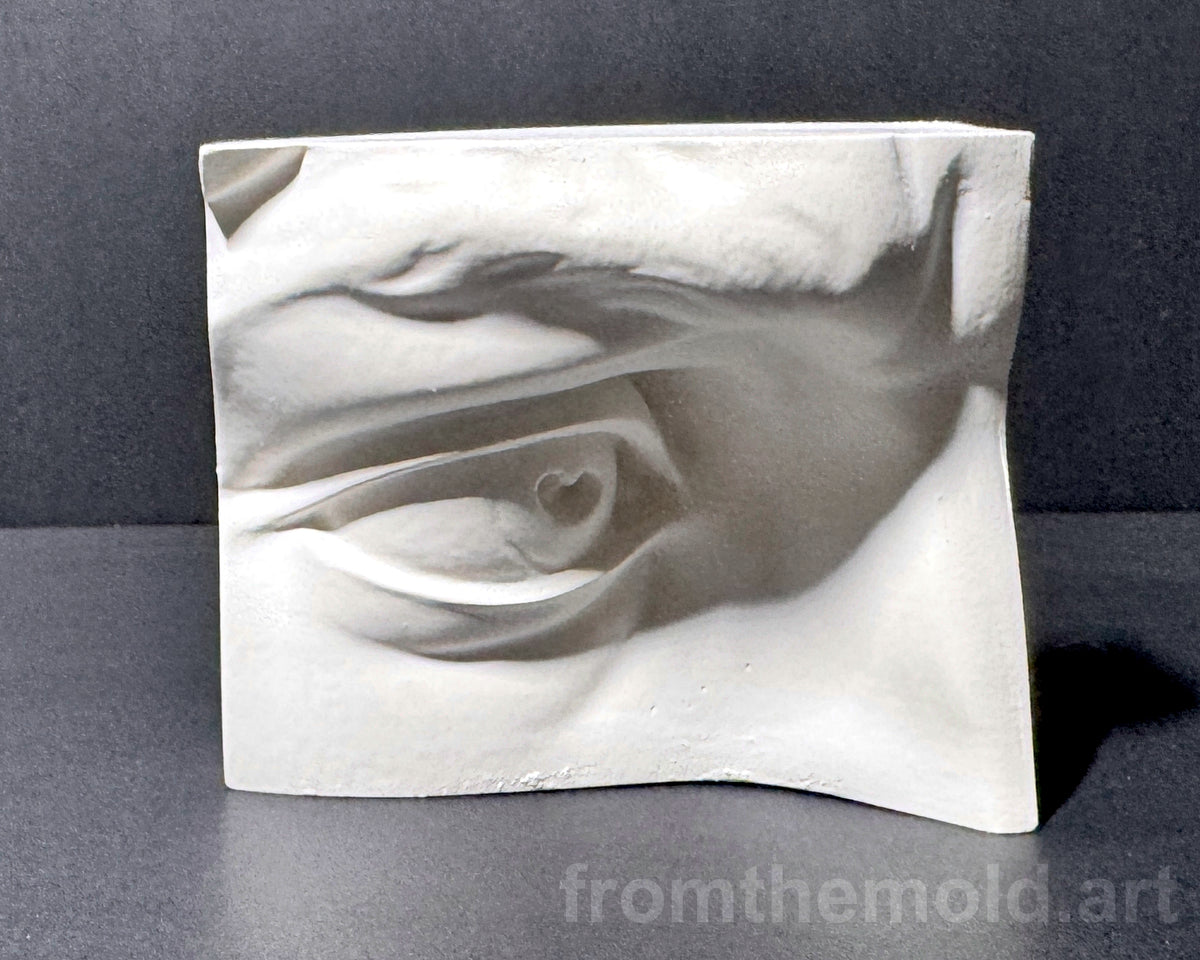 Eye of David Plaster Study Cast – Portrait Drawing, Anatomy & Form Reference