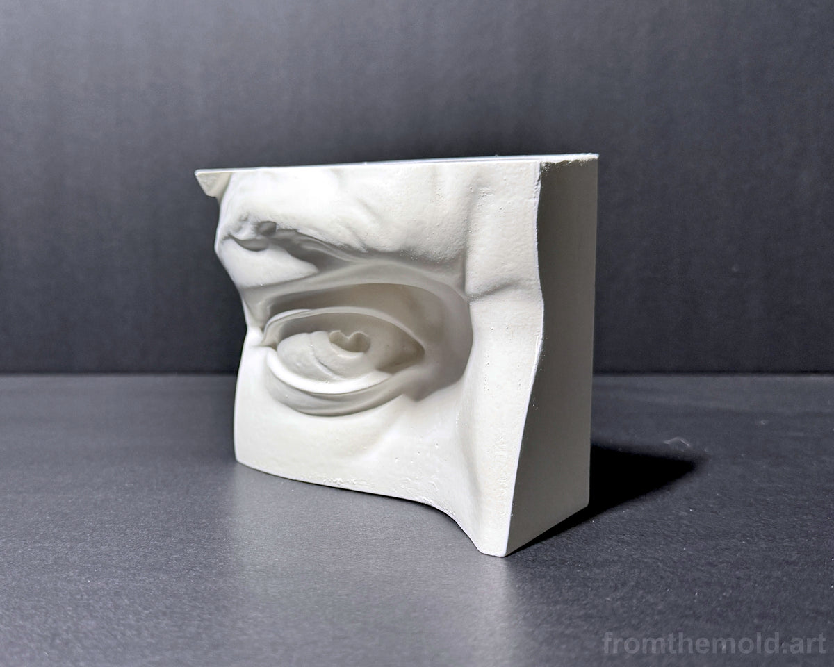 Eye of David Plaster Study Cast – Portrait Drawing, Anatomy & Form Reference