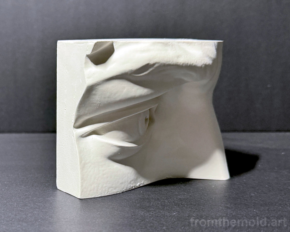 Eye of David Plaster Study Cast – Portrait Drawing, Anatomy & Form Reference