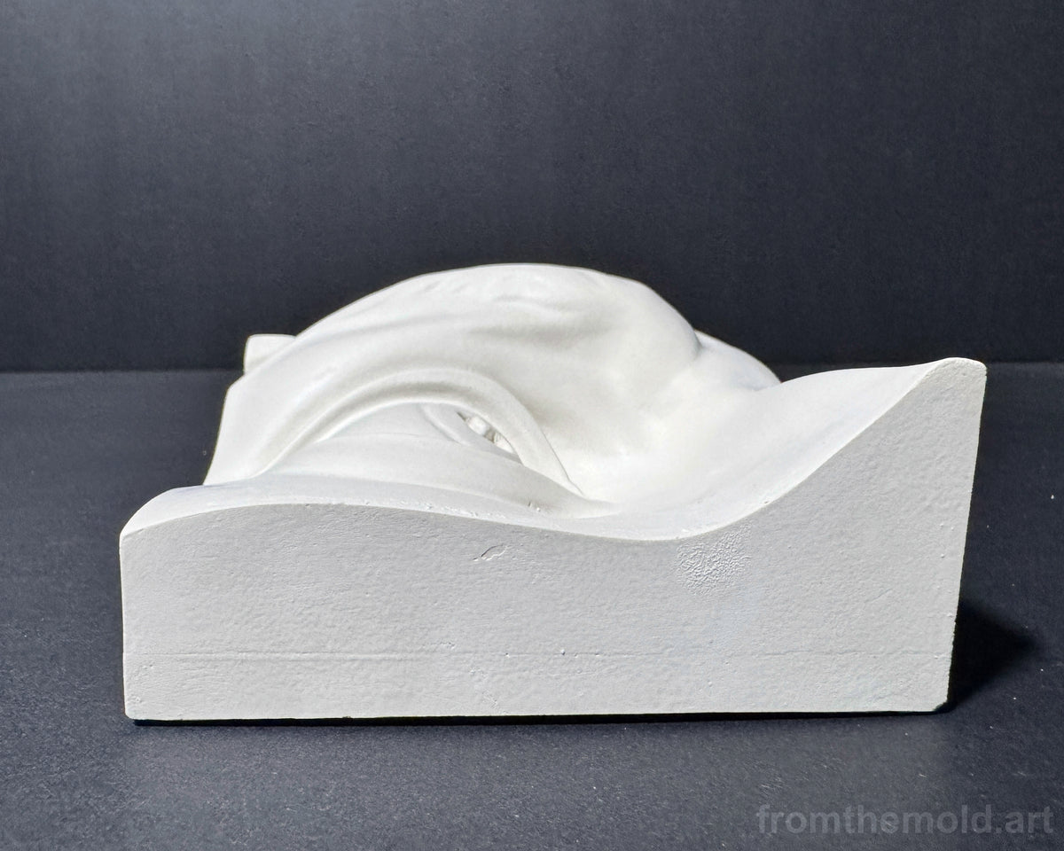Eye of David Plaster Study Cast – Portrait Drawing, Anatomy & Form Reference