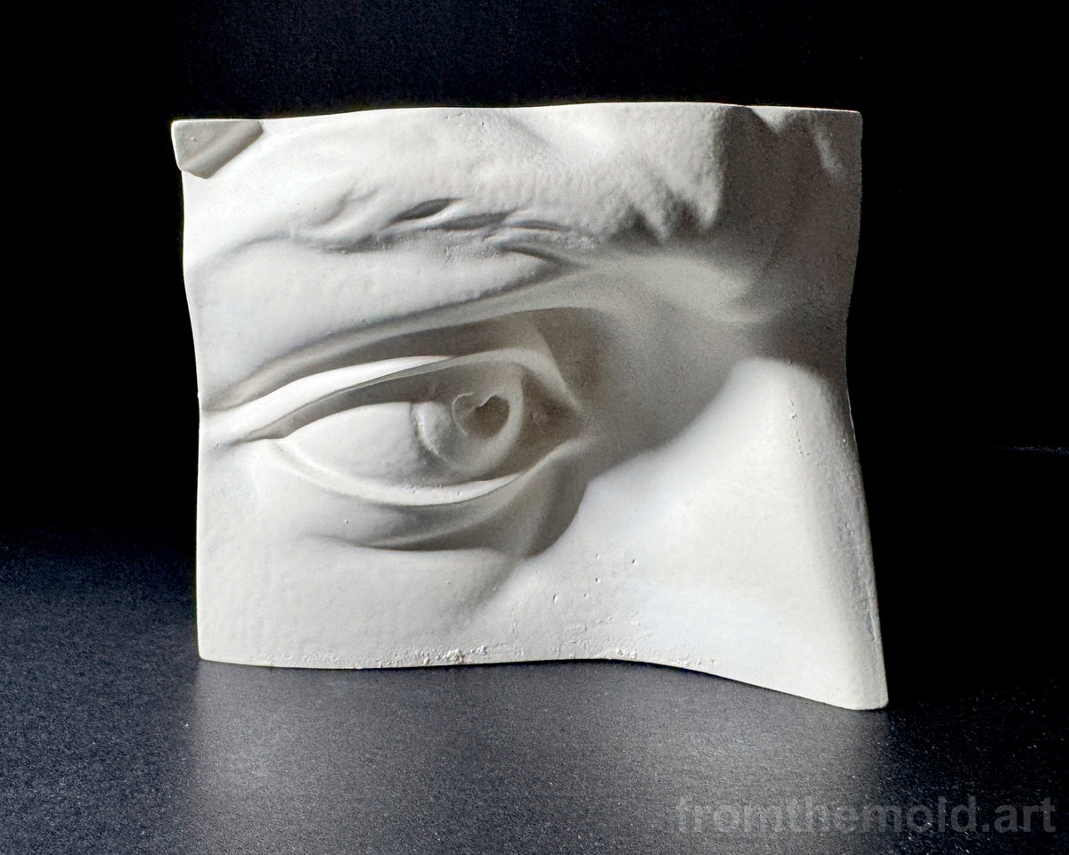 Eye of David Plaster Study Cast – Portrait Drawing, Anatomy & Form Reference