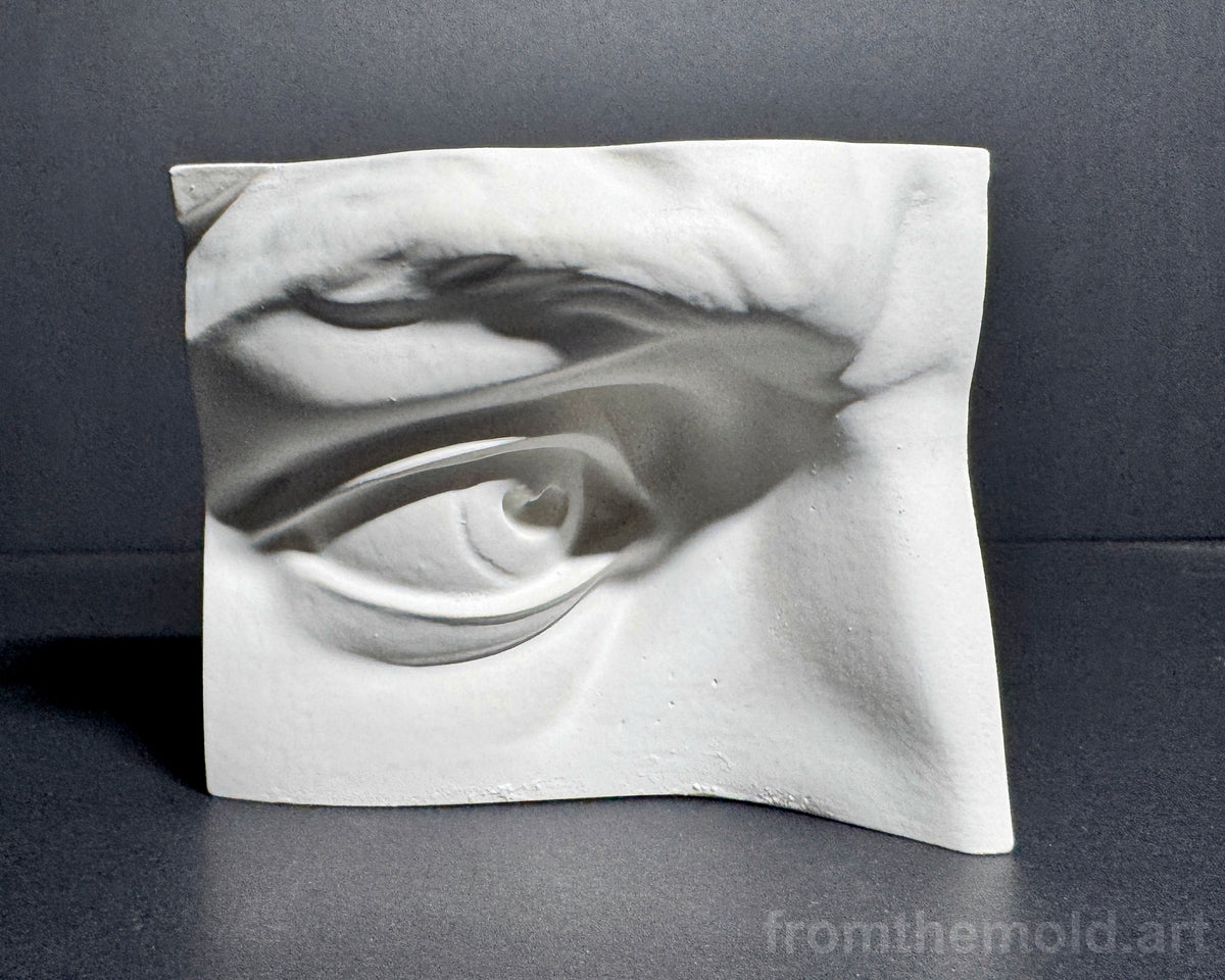 Eye of David Plaster Study Cast – Portrait Drawing, Anatomy & Form Reference